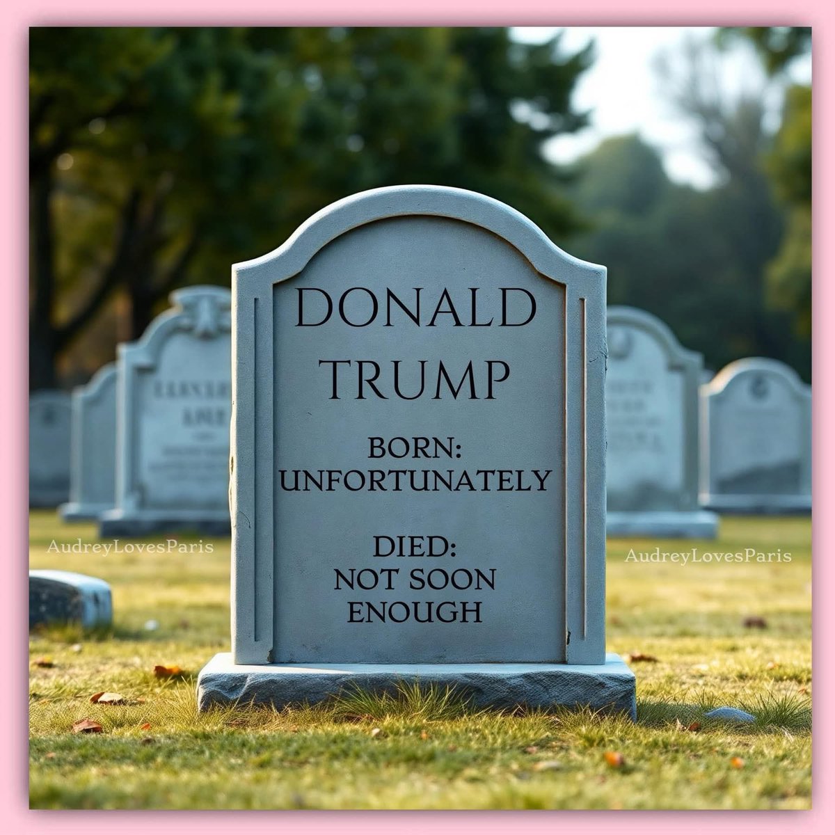 TonyB2024's tweet photo. @magameg31 @realDonaldTrump https://t.co/2En6VL7p3C