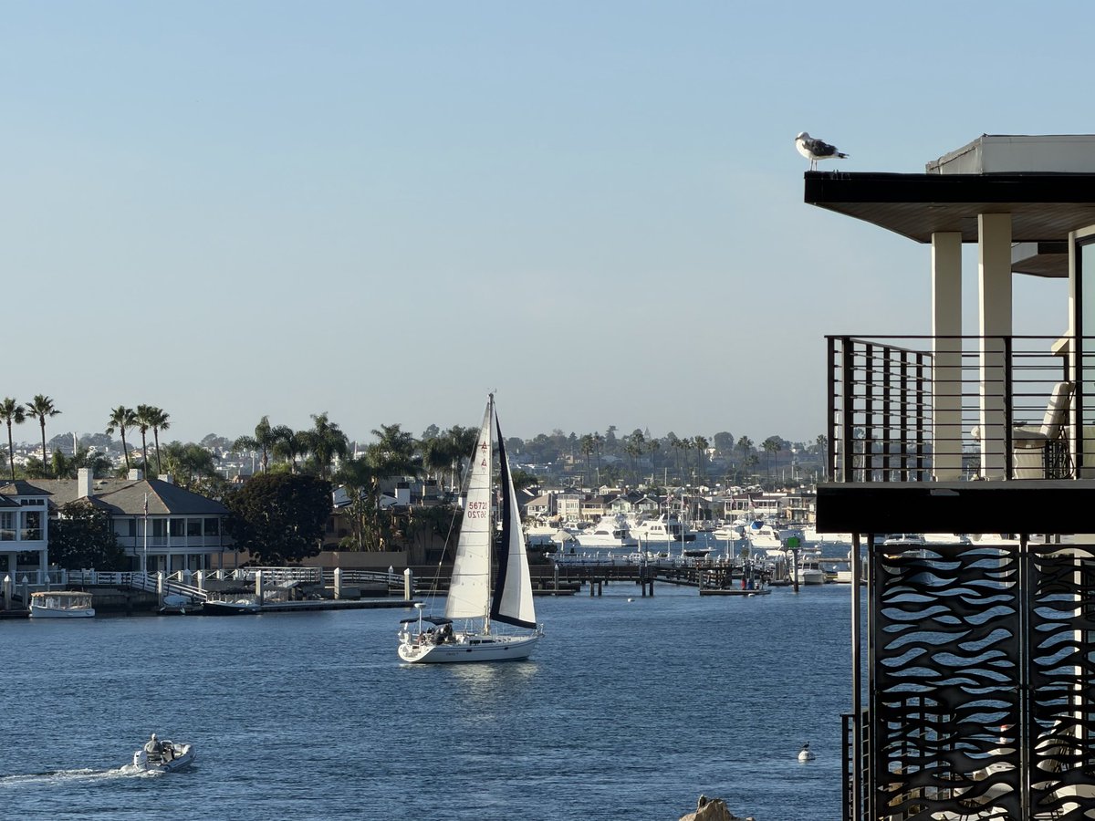 Corona Del Mar, California November 10, 2025 📷 by <a href="/erikose/">Elrick Erikose 🔺</a> #photography #coronadelmar #california #ship #nature
