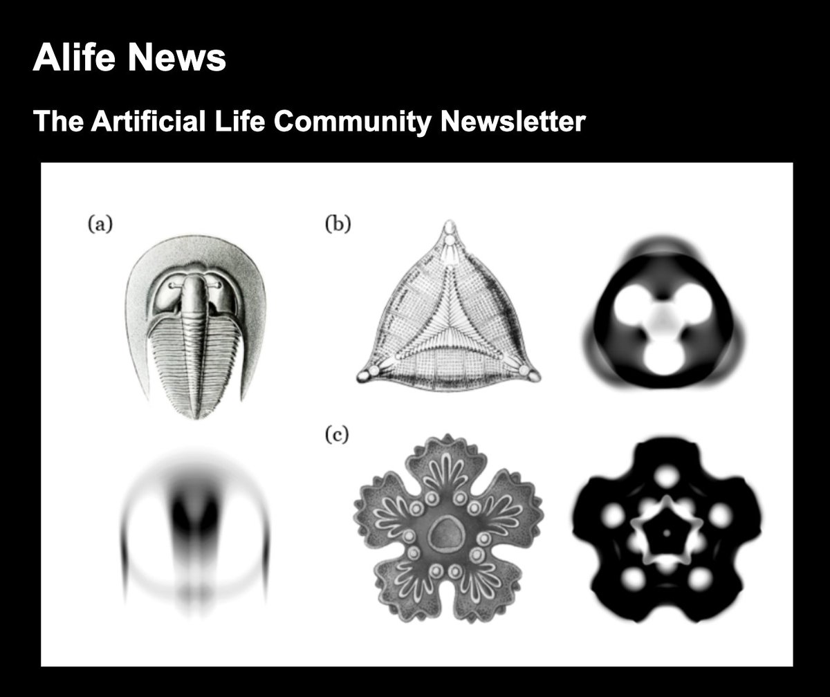 Jenny Zhang tweet media