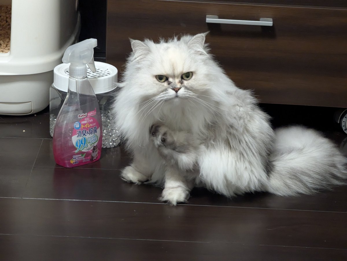 あなたはできるかしら？
後ろ足でアイ～ンを