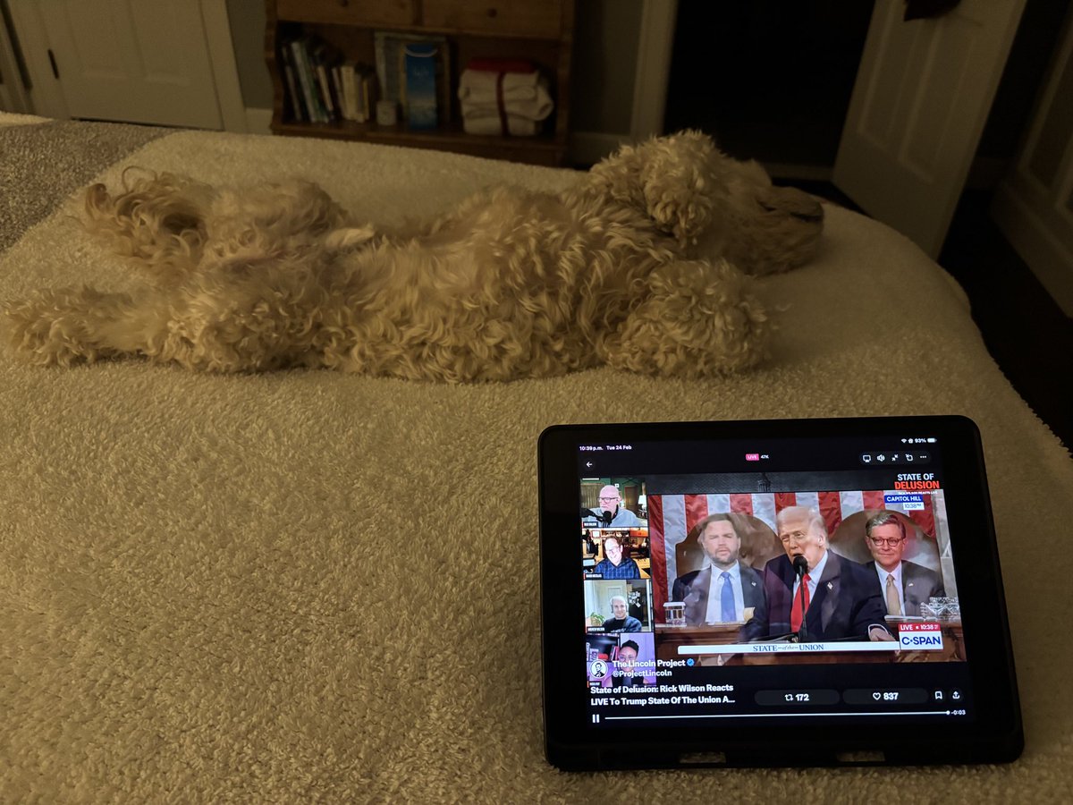 Inis☘️ tweet media