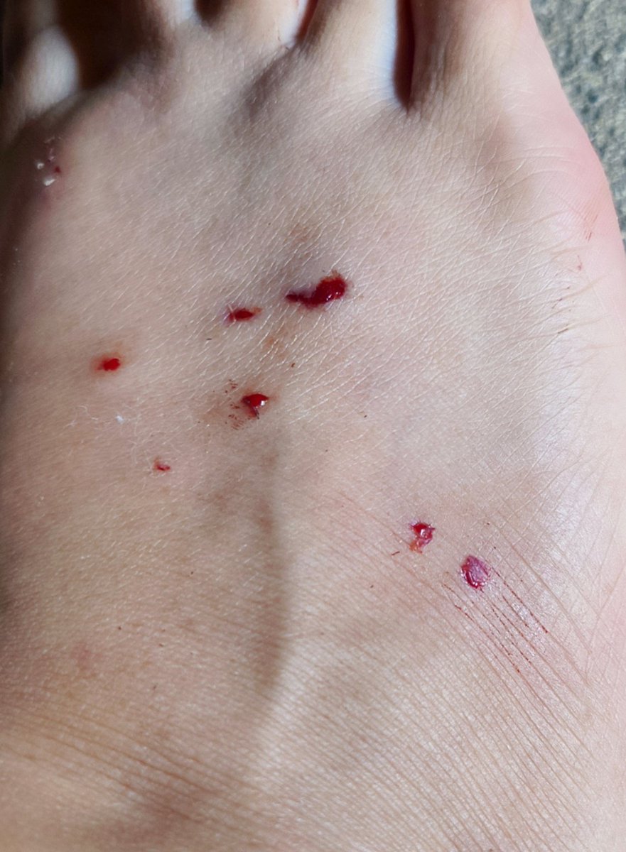 ชื่อว่าโอปอลล์✨𝟏𝟗𝟗𝟖✨ tweet media