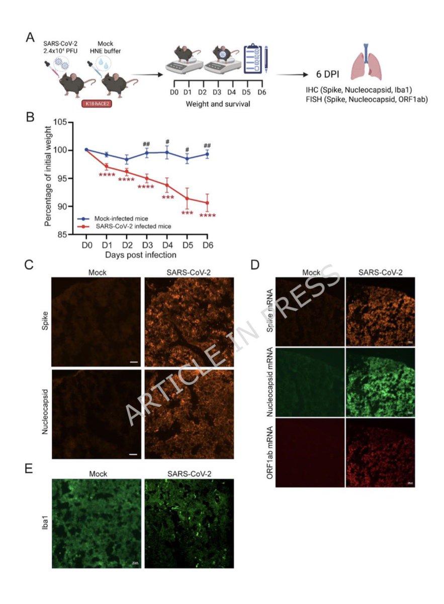 Vipin M. Vashishtha tweet media