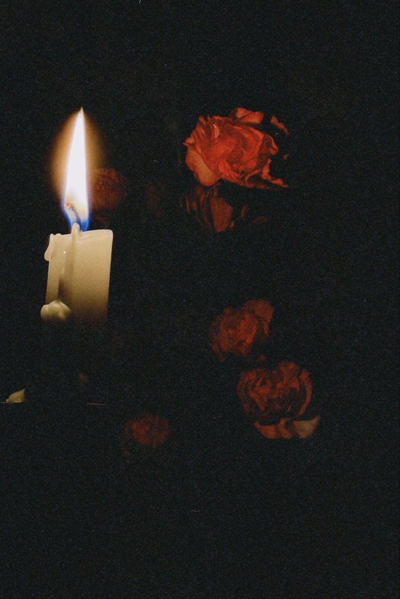 “kaybolmak güzel, değil mi?”