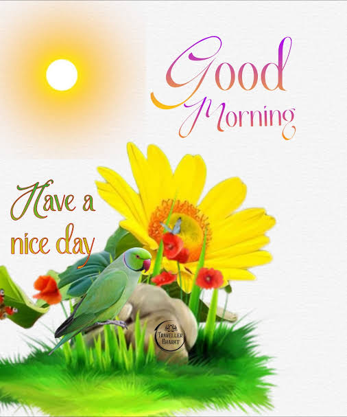 Good morning!☀️
May today bring you peace in your heart, clarity in your mind, and success in everything you touch. Step out with confidence, smile through the challenges, and remember that you’re capable of amazing things.🥰

GM X'ERS ❤️🌹