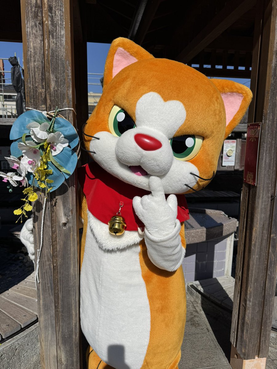 にゃん吉【公式】Nyankichi (@cat_nyankichi) / Posts / X