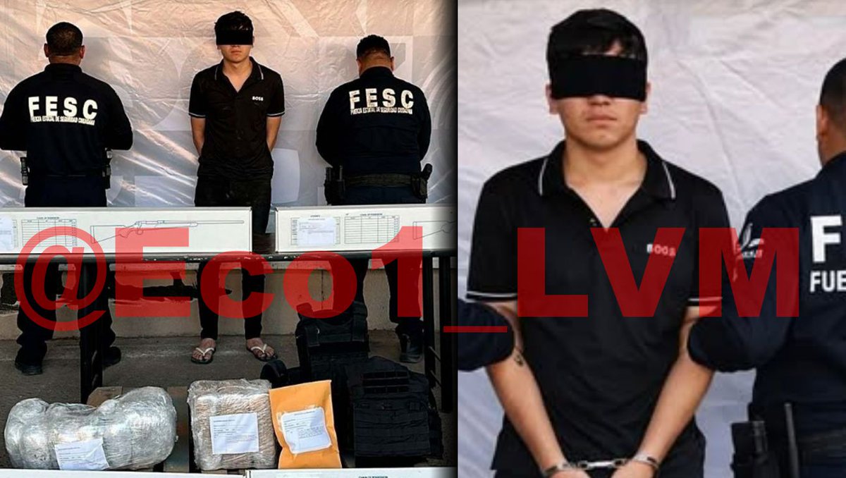 Eco_1_LVM tweet media