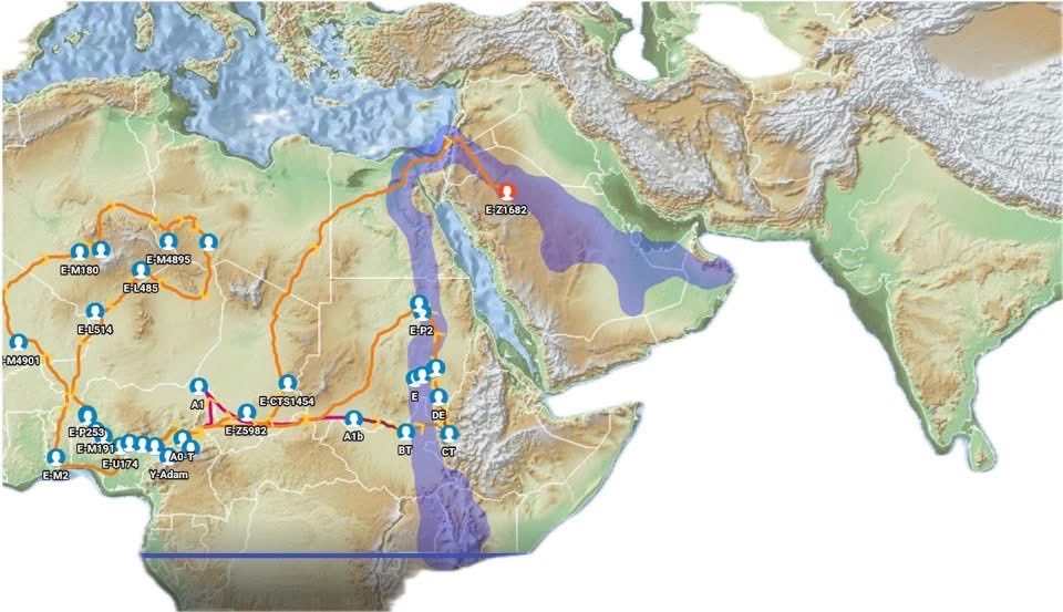 ProfGgriot's tweet photo. DNA doesn’t lie.  E1b1a from the Nile Valley to the Levante 550 BCE. https://t.co/PDDaf5tLh4