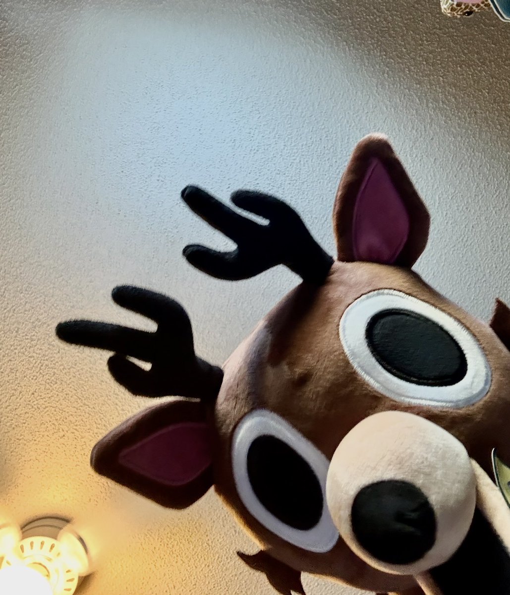 Left my phone in the boys room and found this. I wonder how many nights I survived. IYKYK