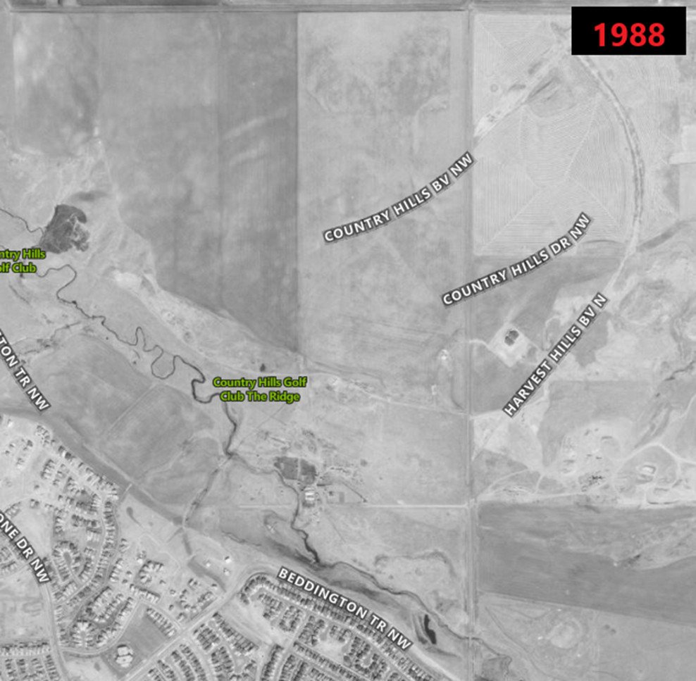 Walking Calgary tweet media