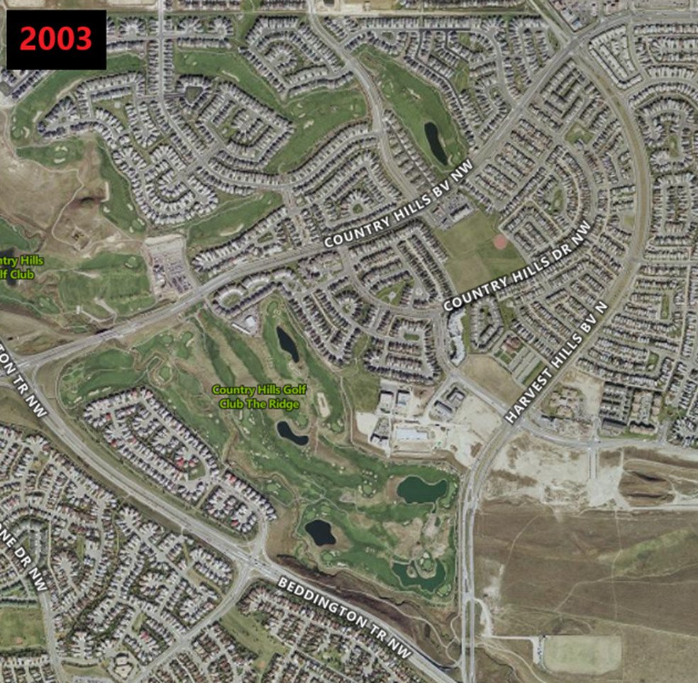 Walking Calgary tweet media