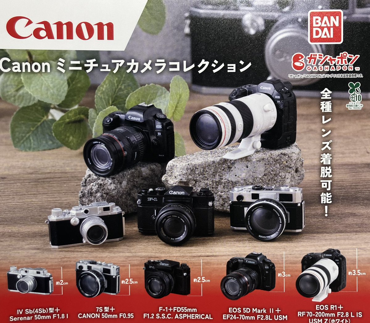 📣 2月25日(水)入荷情報📣 🌟銀魂 めじるしアクセサリー 🌟Canon