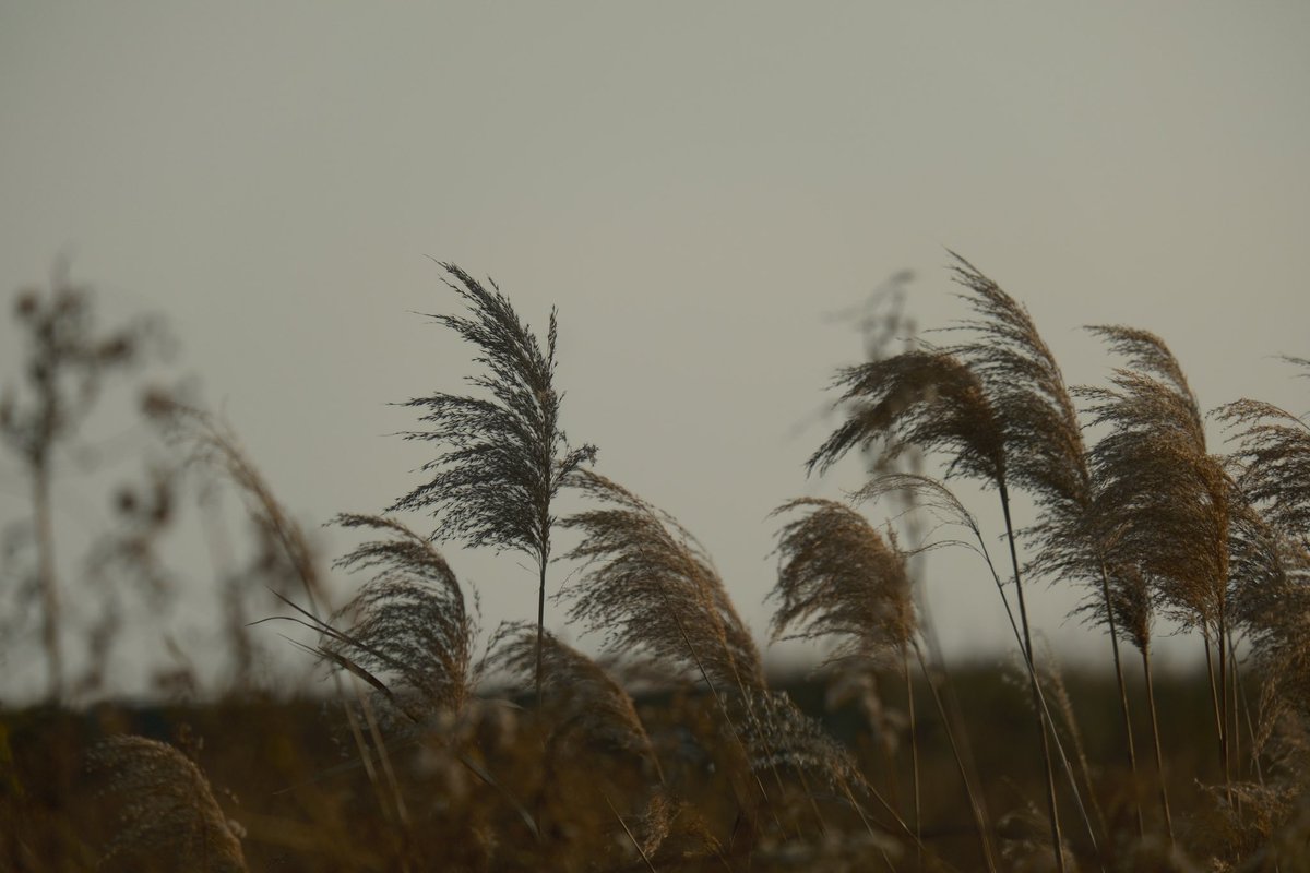 奥田亜美 tweet media