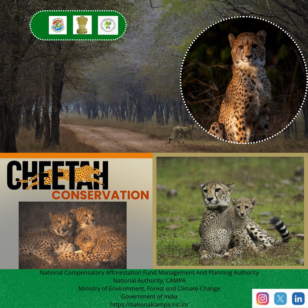 National Authority, CAMPA, MoEF&CC, GoI tweet media