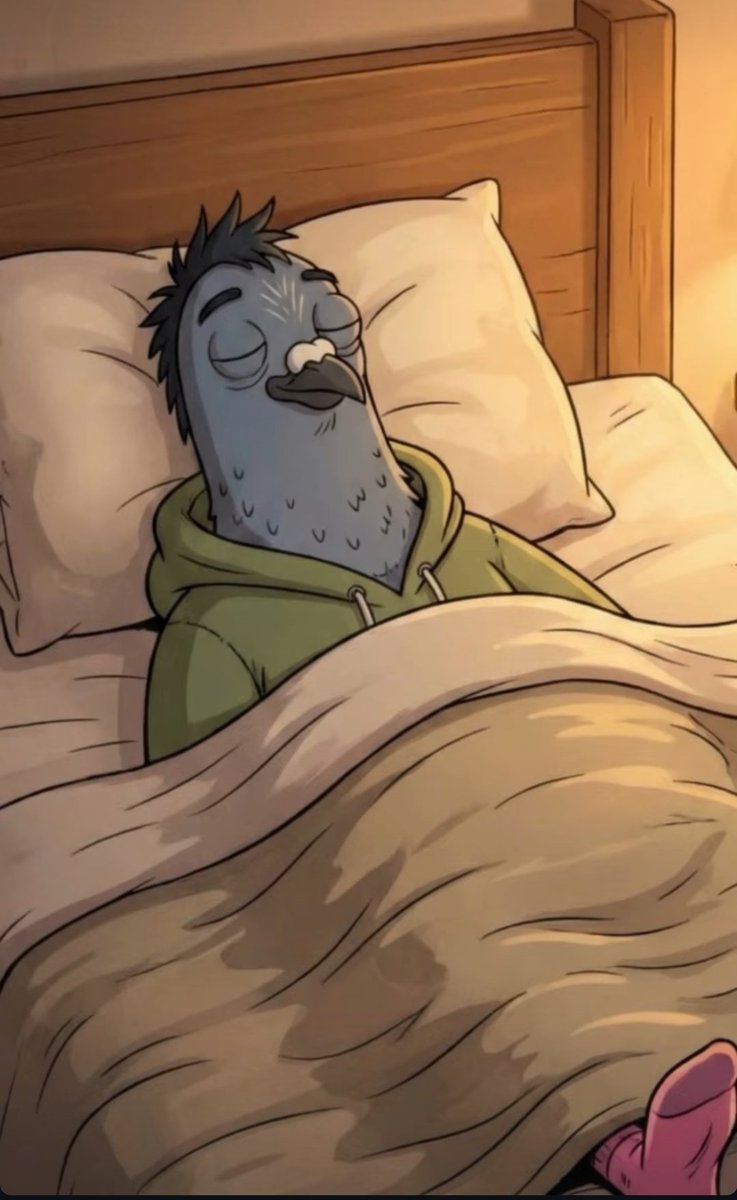 Longe dos perigos noturnos