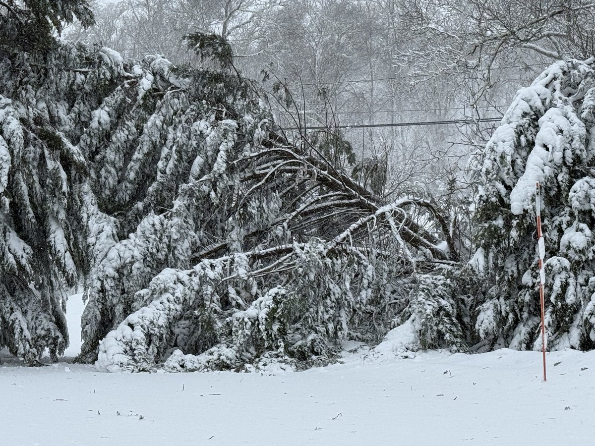 mmuhlfelder's tweet image. The last few days on #capecodbay have not been a #calmocean. Didn’t stop me from going to the beach today 😎