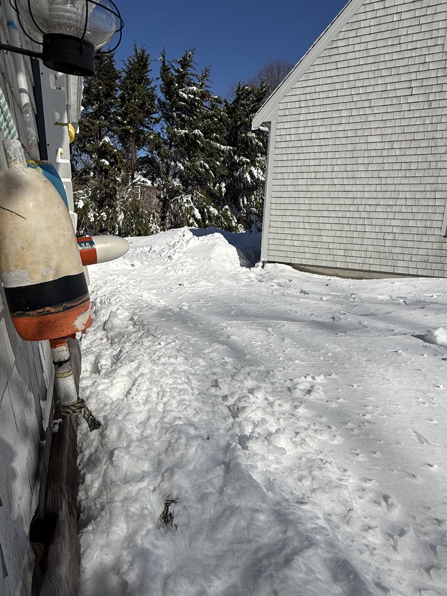 mmuhlfelder's tweet image. The last few days on #capecodbay have not been a #calmocean. Didn’t stop me from going to the beach today 😎