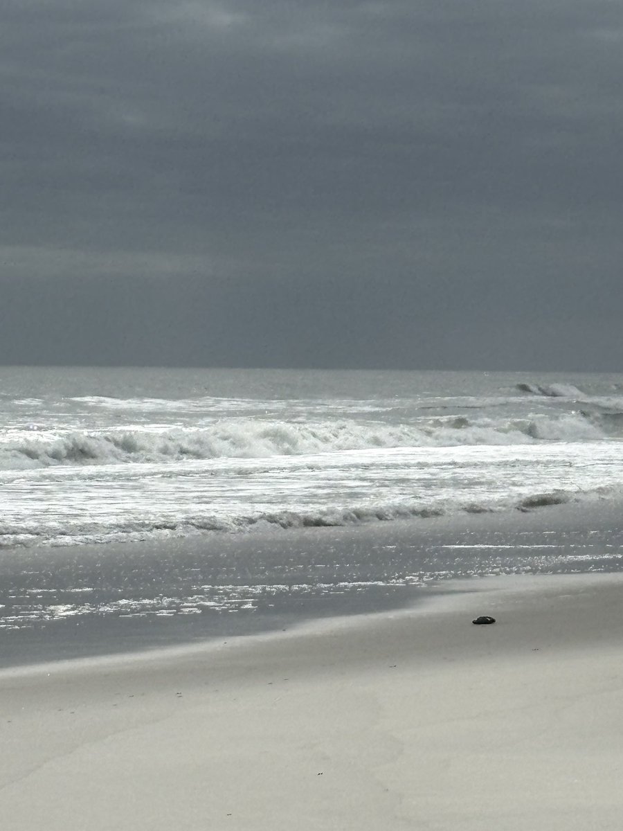 Dennis J tweet media