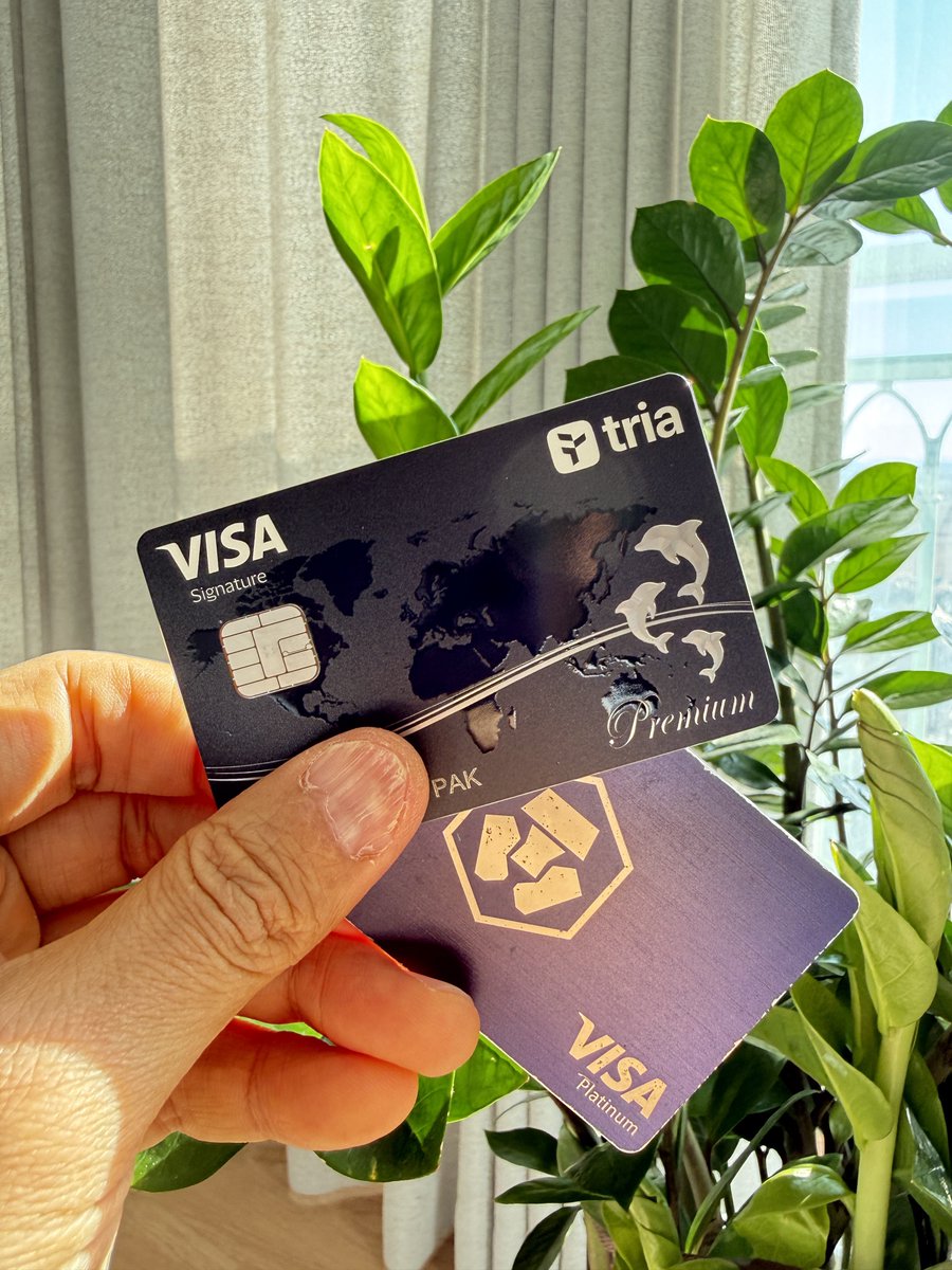 🟨 Kingbit+ tweet media