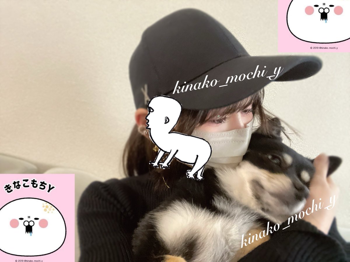 きなこもちY (@kinako_mochi_y) / Posts / X