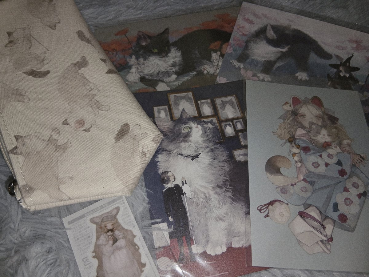 ねこ助 (@m_oxo) / Posts / X