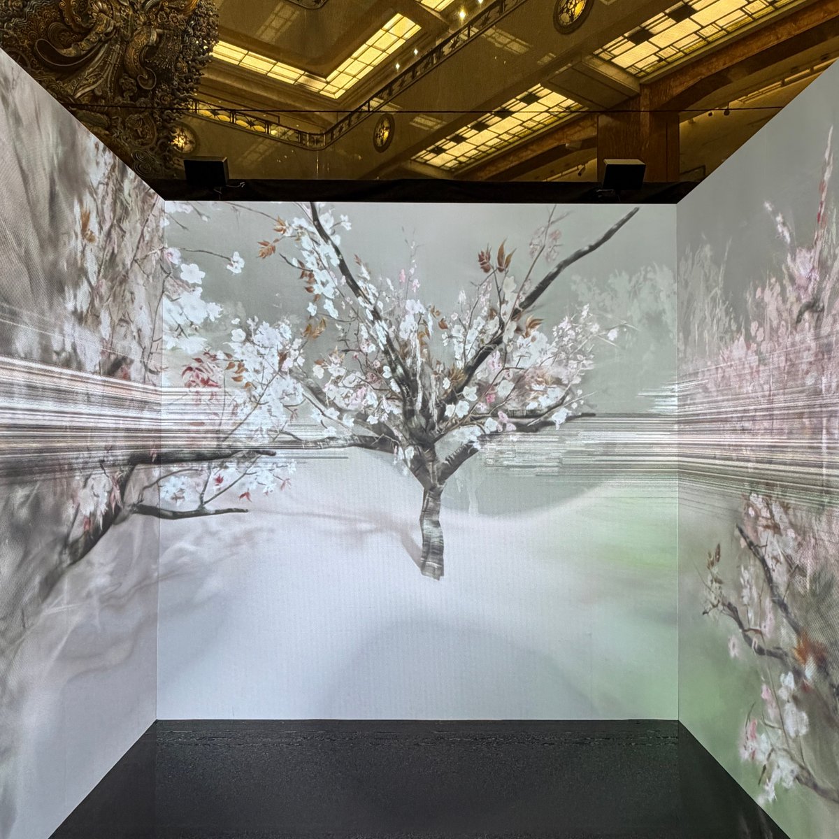 東京国立近代美術館 アートインスタレーション🌸 跡見玉枝『桜花図巻