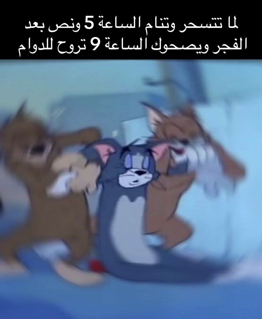 منصور tweet media