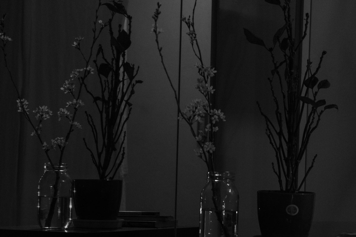 奥田亜美 tweet media