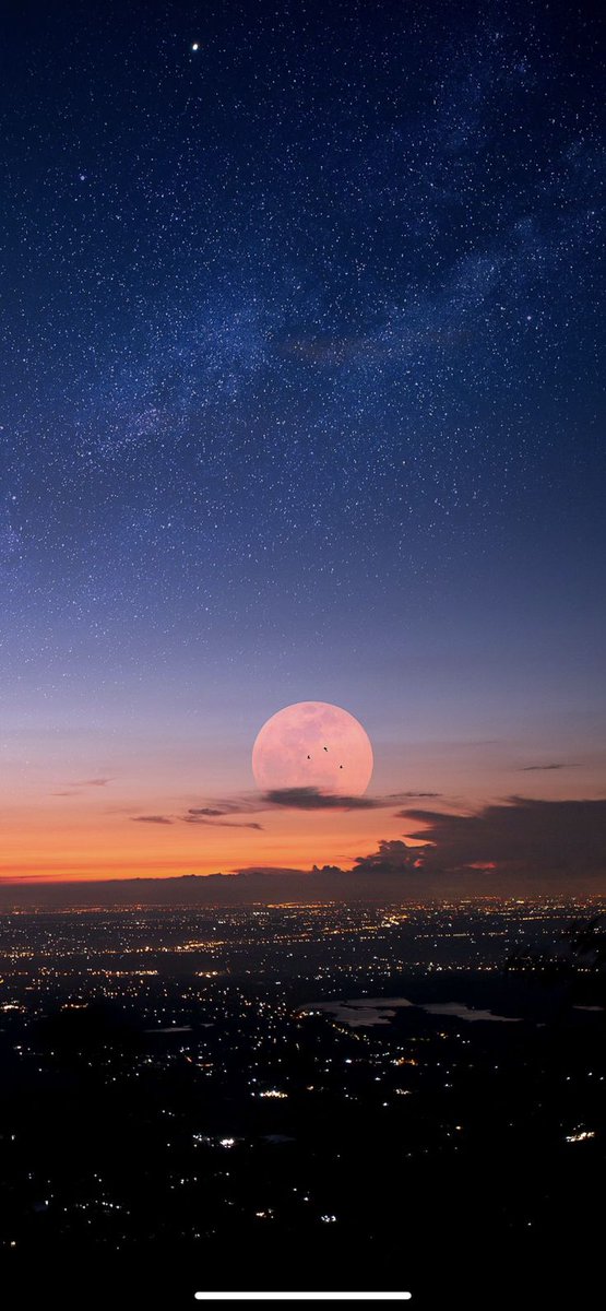 Mirha Noor (@mirhanoor7244) on Twitter photo 