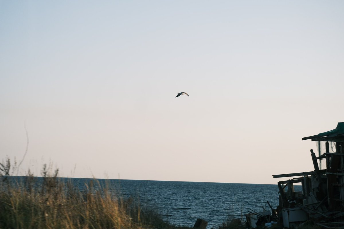 奥田亜美 tweet media