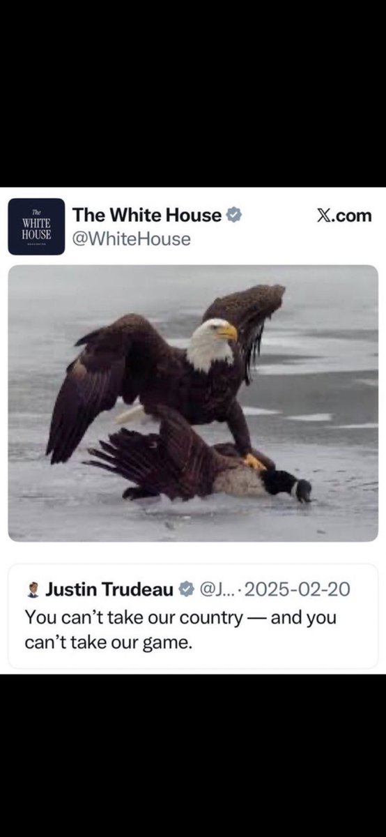 CreekPete 🇨🇦 tweet media