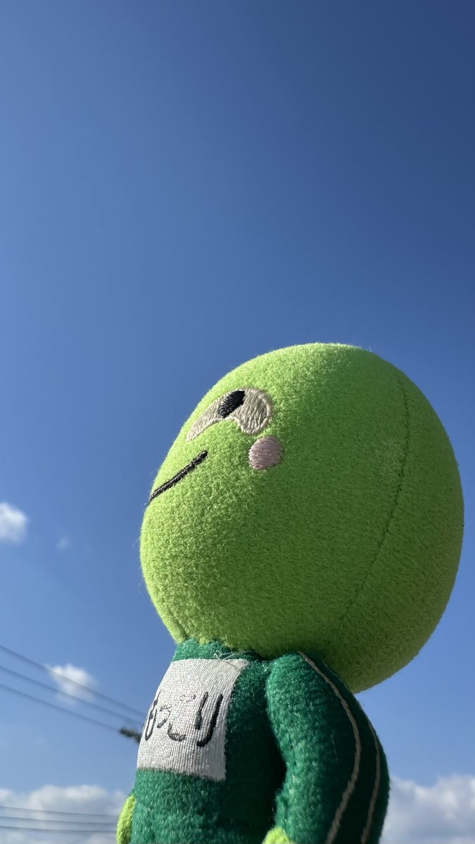 まりもっこり…🟢