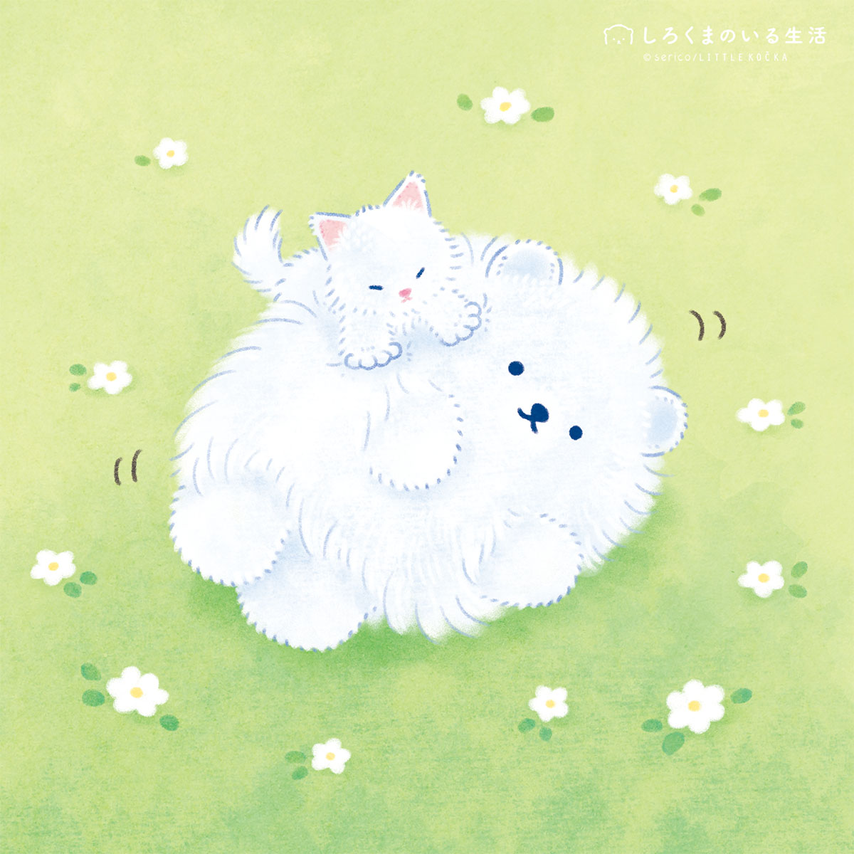 しろくまのいる生活🧸serico tweet media