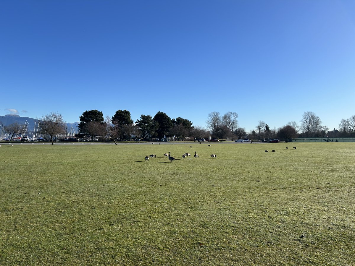 Drawable tweet media