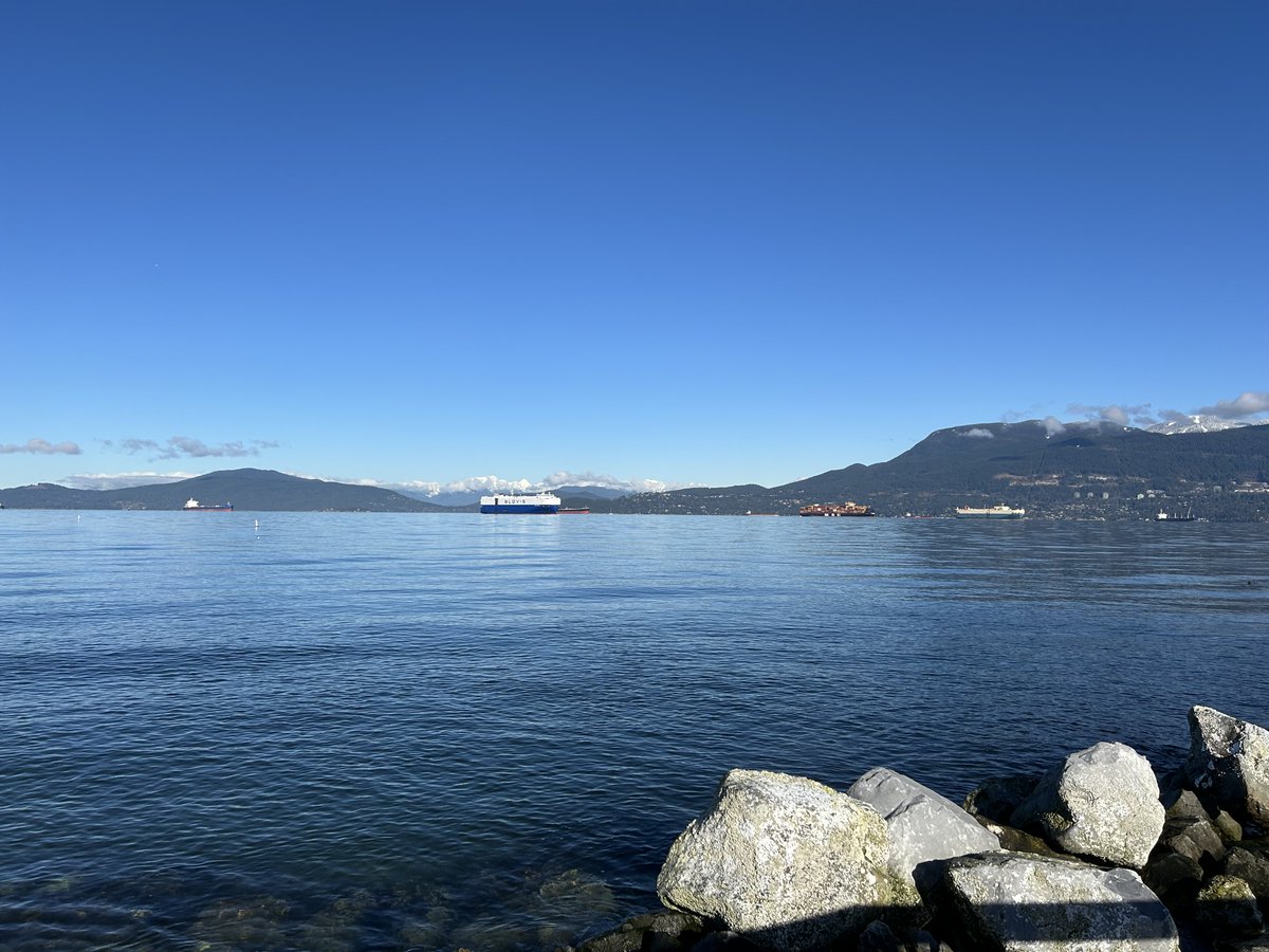 Drawable tweet media