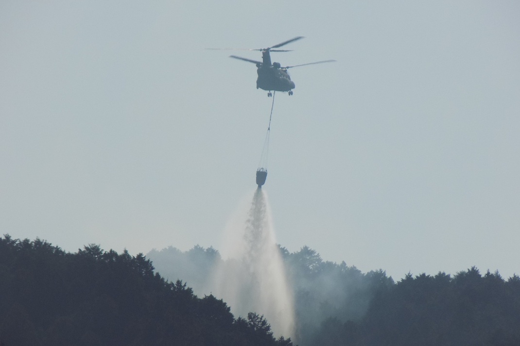 陸上自衛隊 第１師団【公式】 tweet media