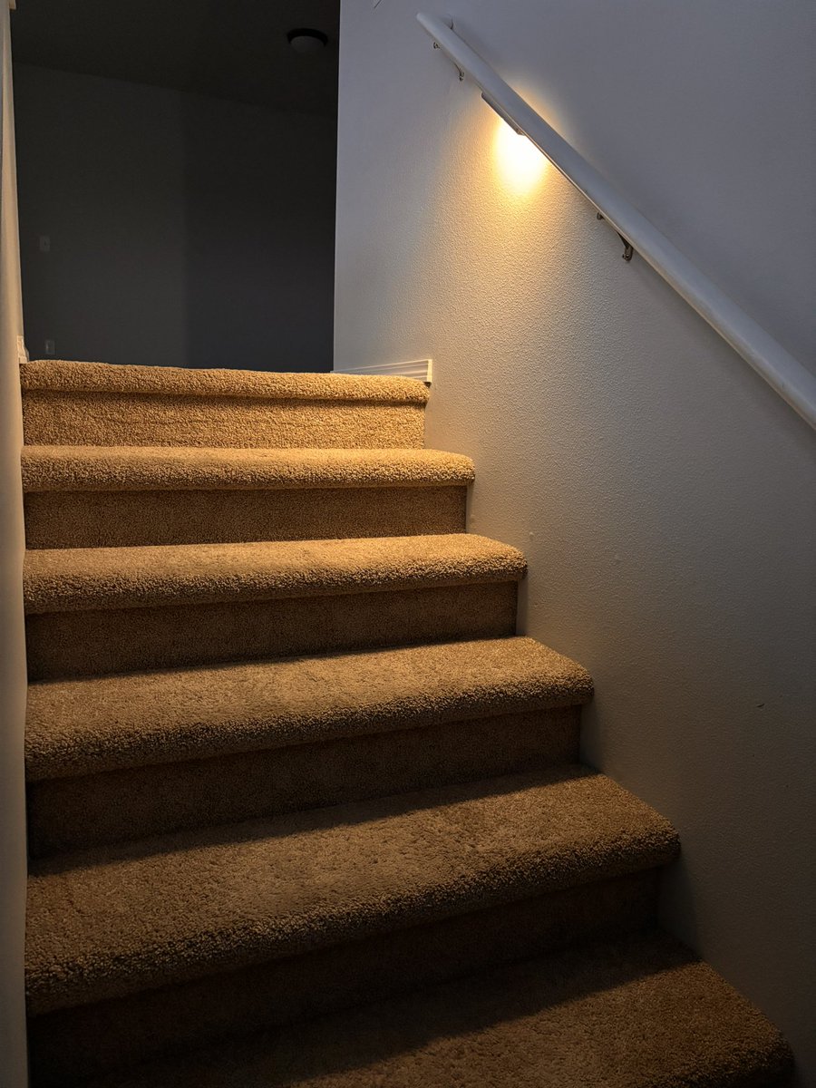 Redlovesbubbles tweet media