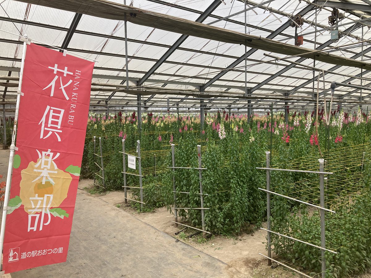 FS.リリラース tweet media