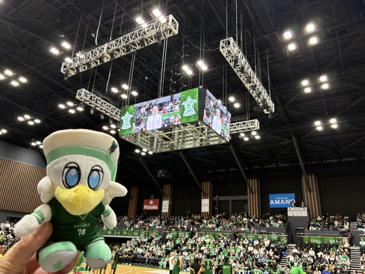 Hiko_Cyabumaru's tweet photo. 横浜武道館の思い出。
ピック&ロールを初めて見たとき、2人とも出身は関西方面ではと感じました。何か親しみを感じ思わず連れて帰った次第です。
#EXGREEN × #STKGREEN
#神戸ストークス
#横浜エクセレンス
#一番はストーキーですけどね https://t.co/zm55IkHF58