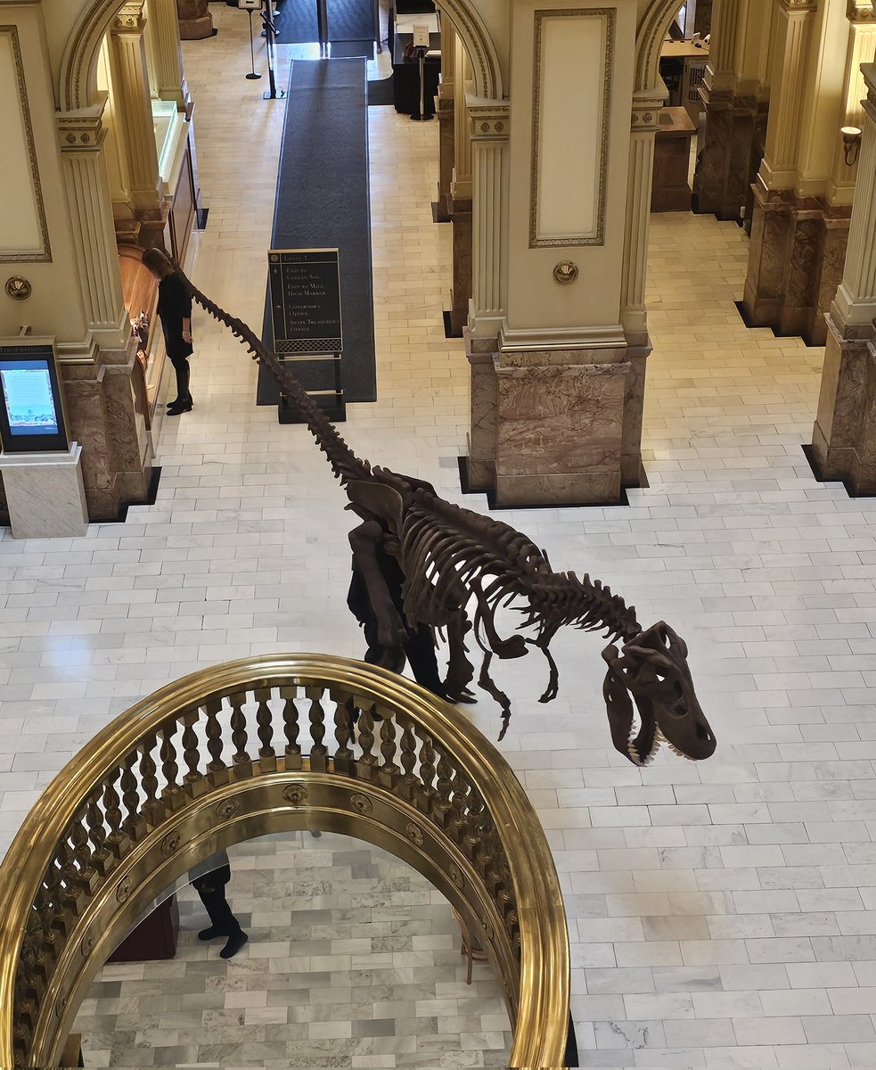 DustyAJohnson's tweet photo. Instead of "Night At the Mueseum," it was a day at the Capitol! 🦖 #Dinosaur #COLeg #COPolitics https://t.co/GeDE49pvst
