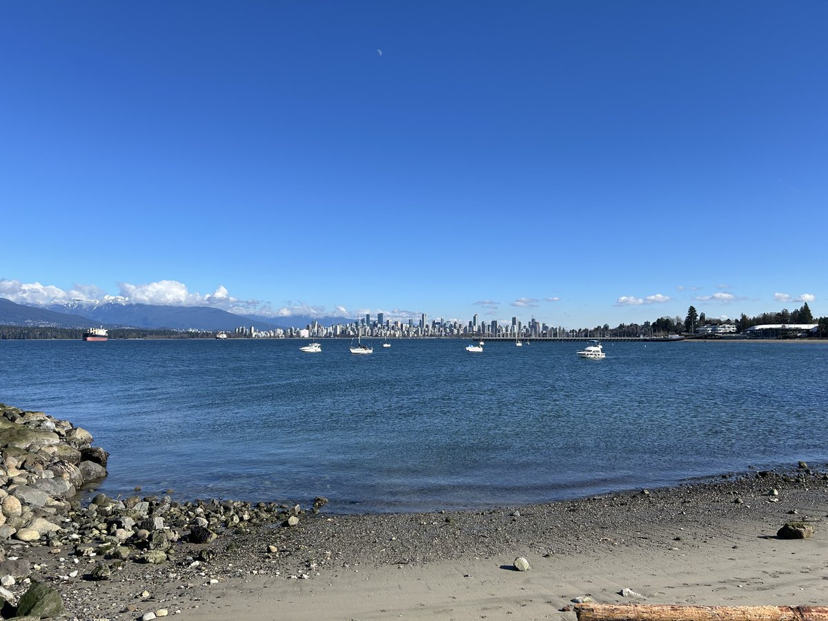 Drawable tweet media