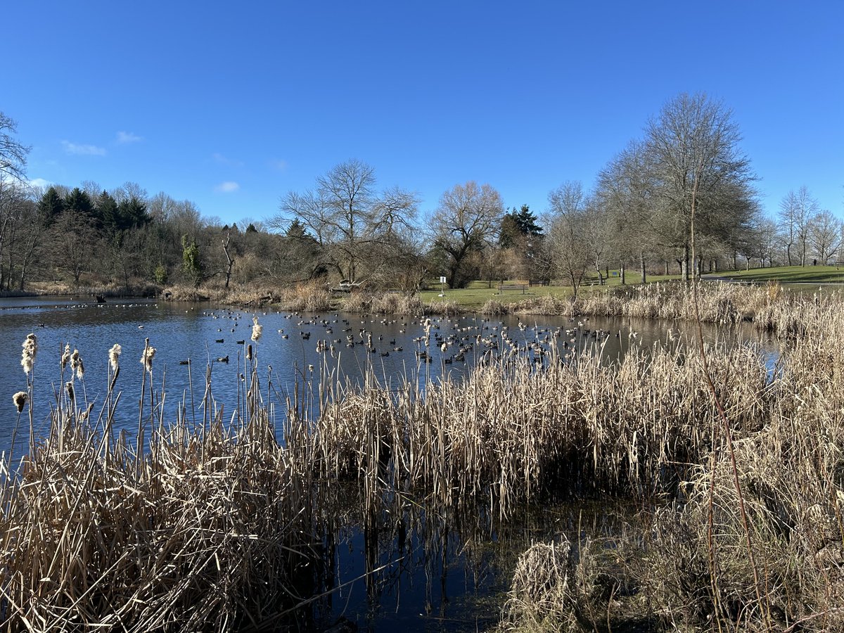 Drawable tweet media