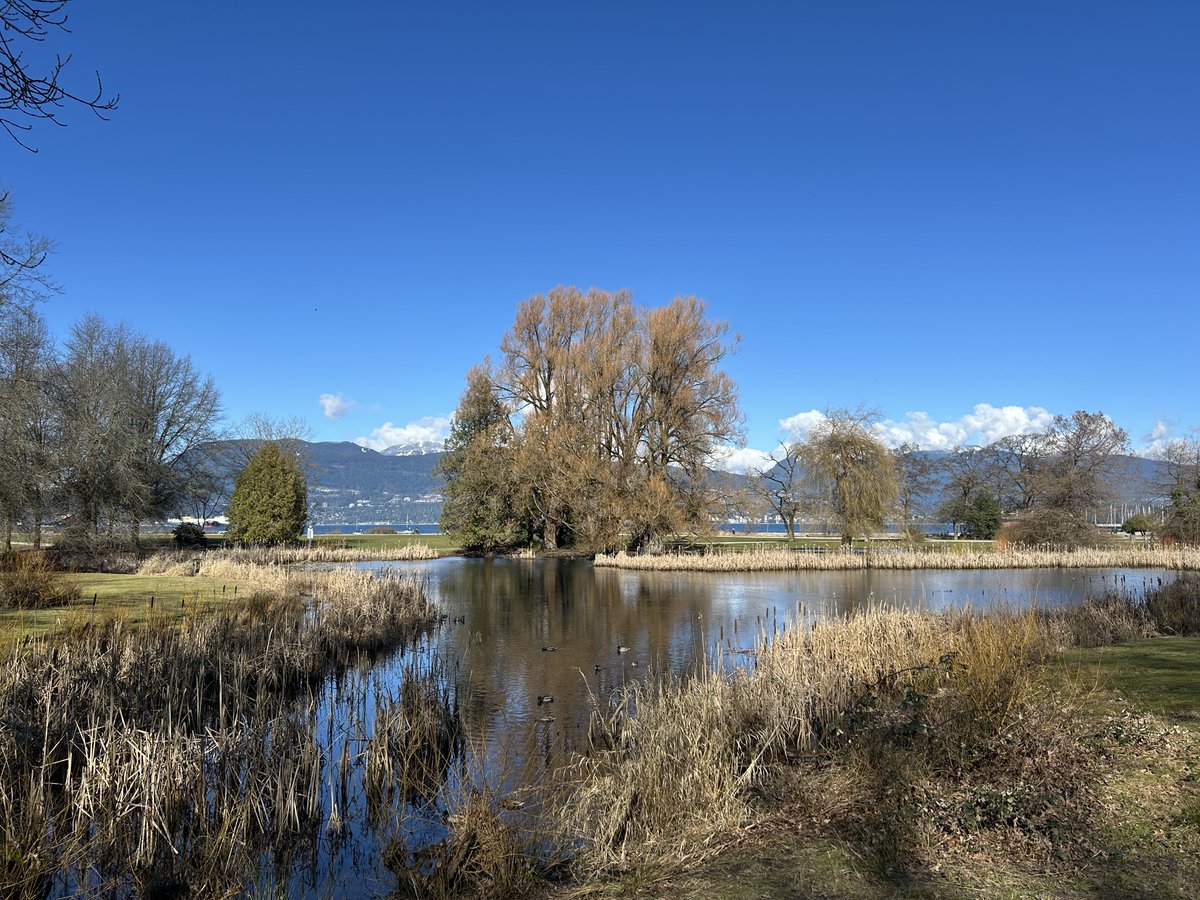 Drawable tweet media