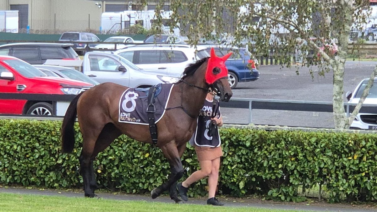 B.A.X LTD tweet media