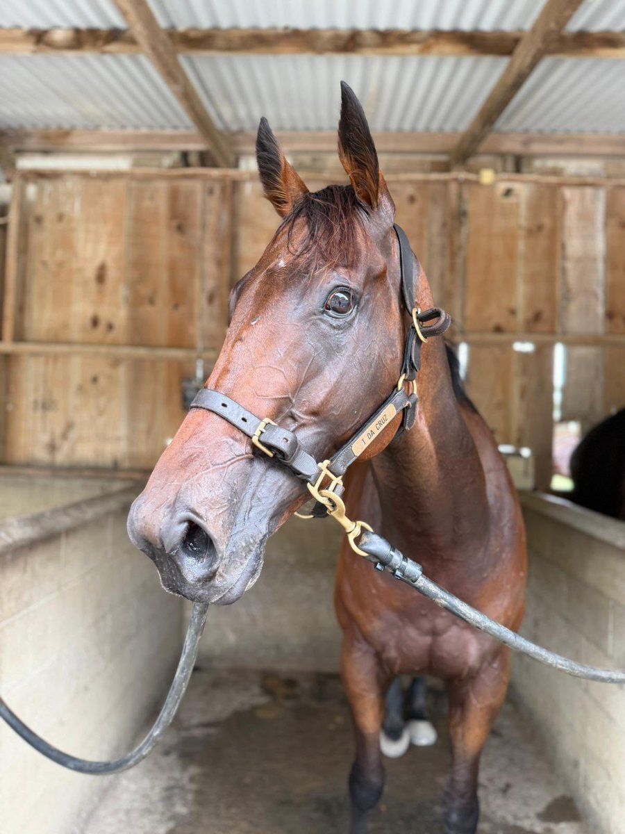 B.A.X LTD tweet media