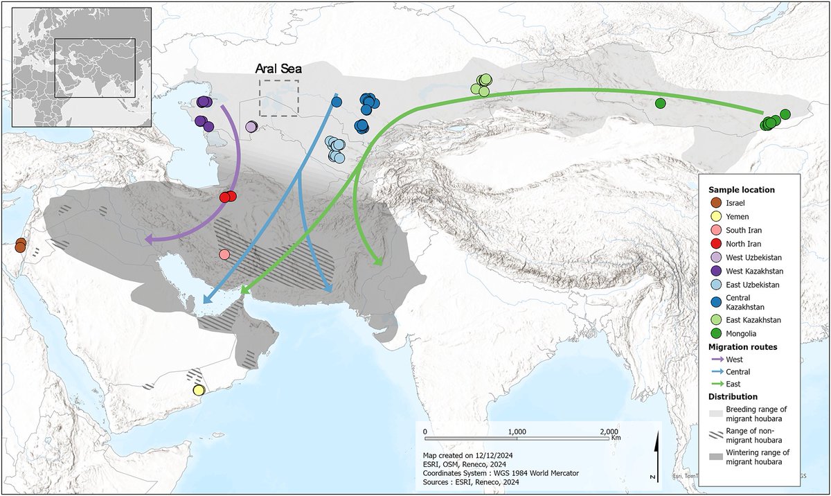 SciReports's tweet photo. Genome wide data recover hierarchical genetic structure and help define conservation units for the threatened Asian Houbara https://t.co/86ydwCyNLY https://t.co/1VgwjZcvVA