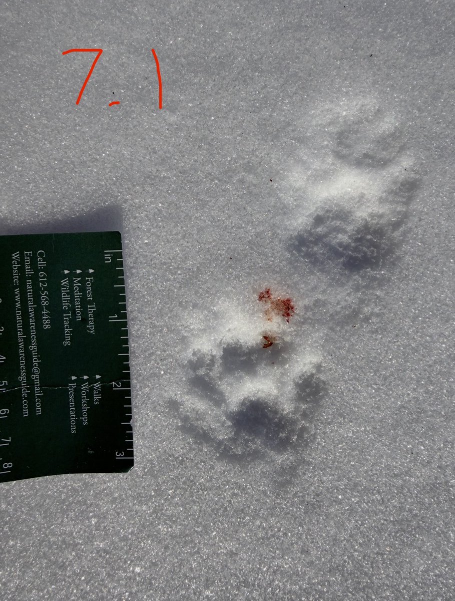 Daggerlad tweet media