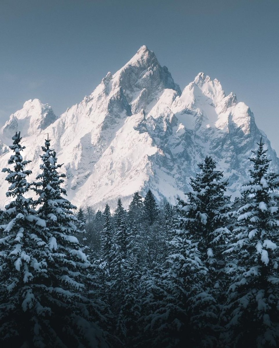 Misty mountain transform