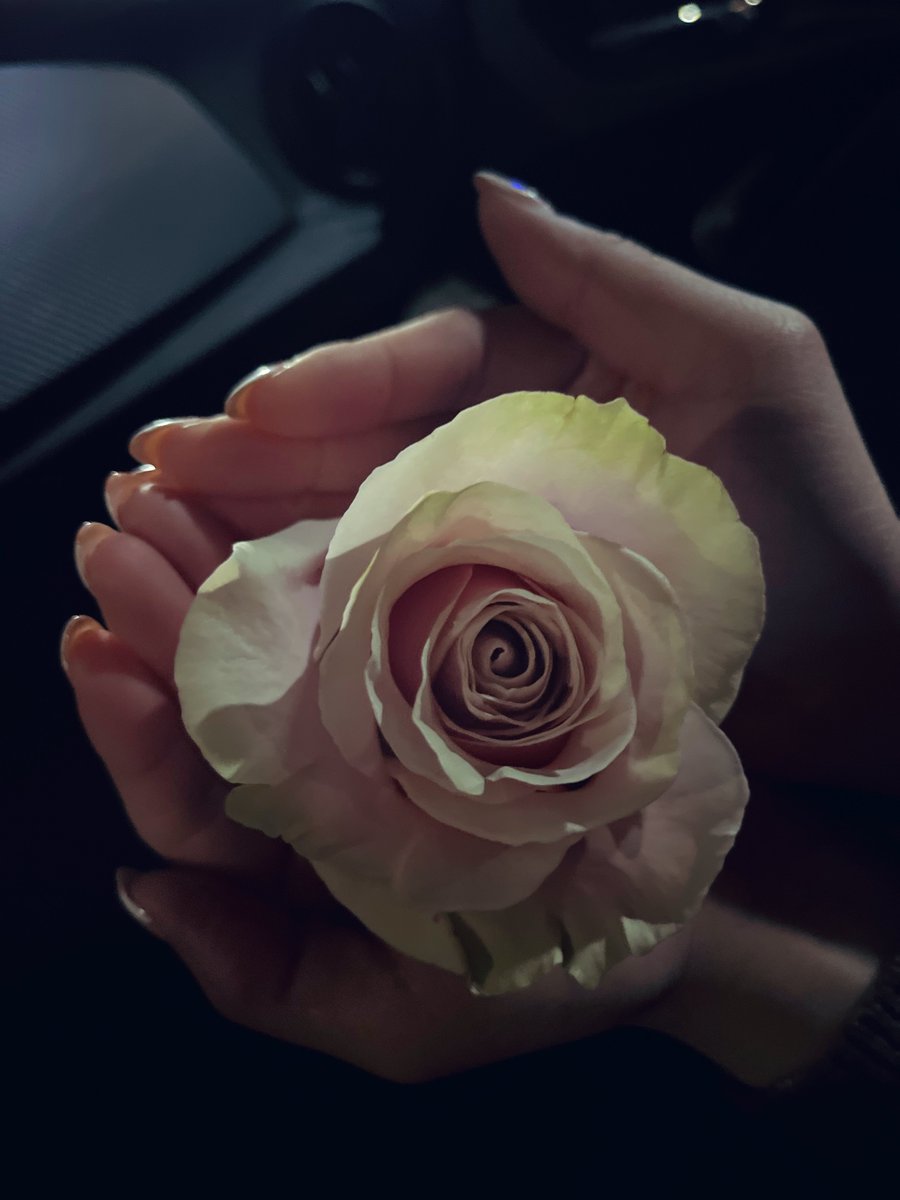 ً🍓 (@dissolving2dust) on Twitter photo 