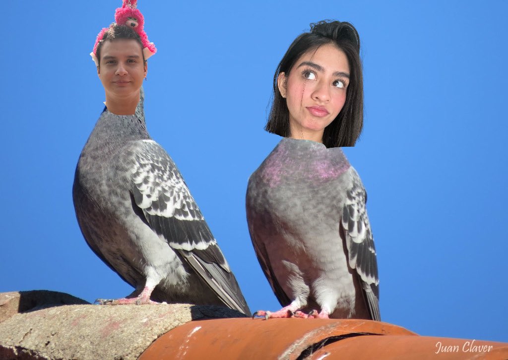 andrees79's tweet photo. @_jrxjb  team 🐦 https://t.co/GssGncQFid